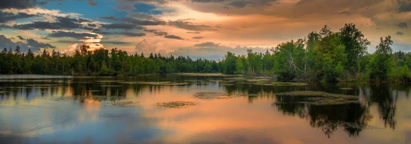 La suite logique&nbsp;!