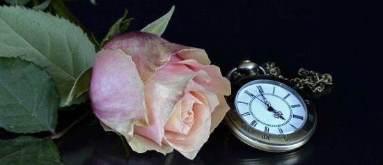 accessory beautiful blossom clock