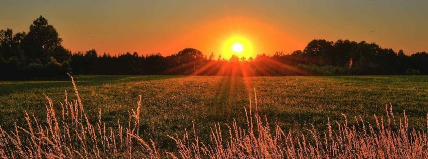 Summer ! | Été&nbsp;!