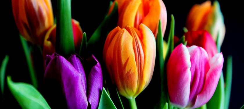 Fête des Mères / Mother&rsquo;s&nbsp;Day