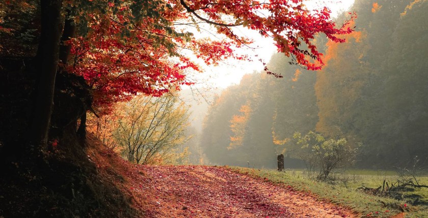 Suffering and success&nbsp;!