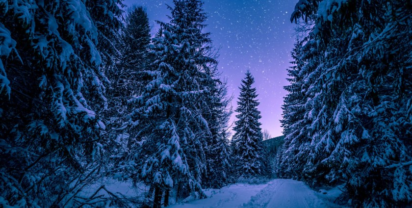 La Famille || The&nbsp;Family