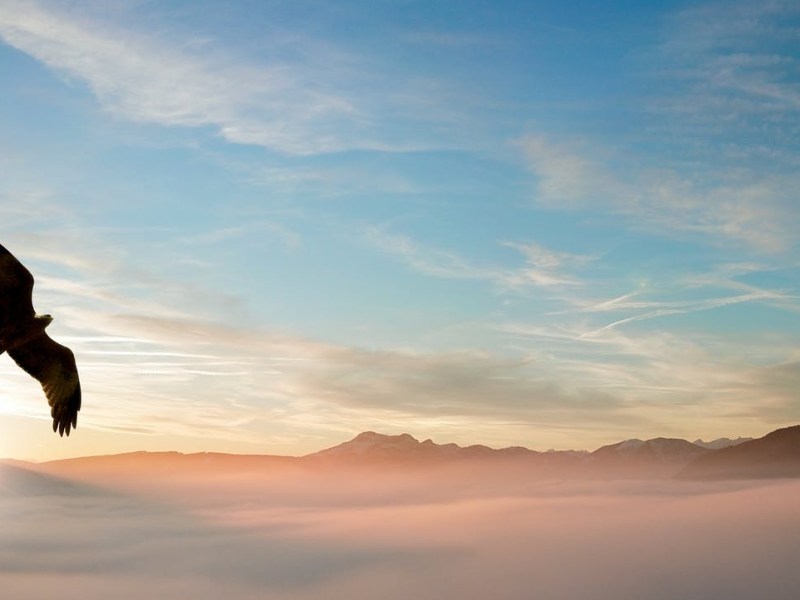 Une terre saine / A healthy&nbsp;land