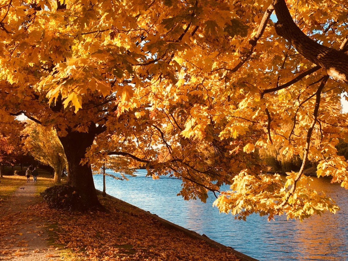 God is awake ! / Dieu est éveillé&nbsp;!