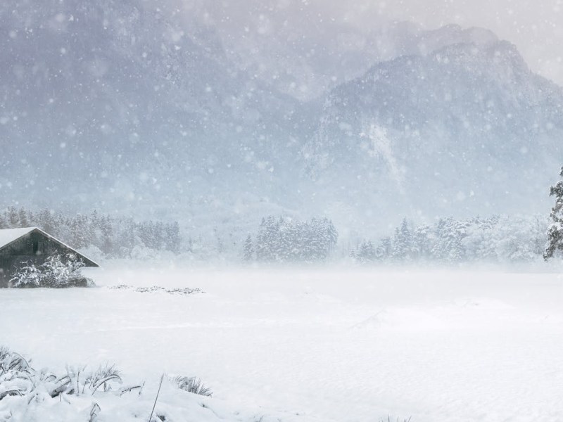 🎄Happy Holidays 2021🎄